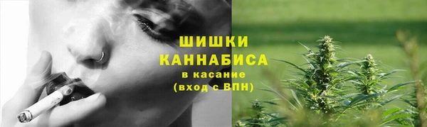 прущие грибы Козельск