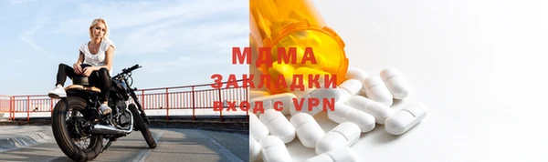 прущие грибы Козельск