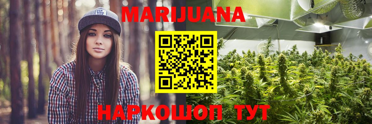 МАРИХУАНА Bruce Banner  Вход с VPN  Камышин  Конопля Ganja 